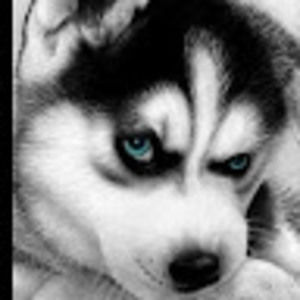 Meet your Posher, Dee